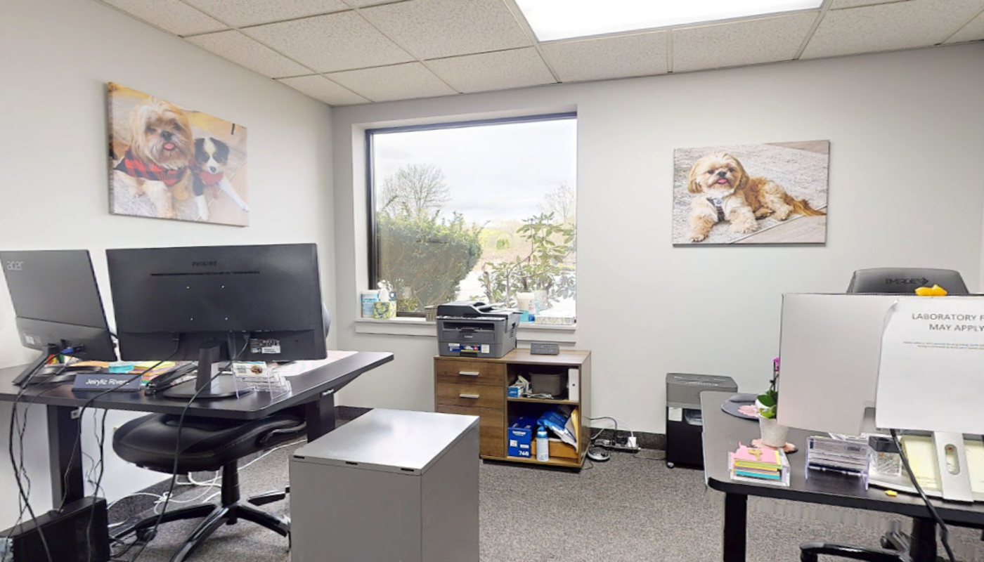 New England Medical Group Milford Aviv