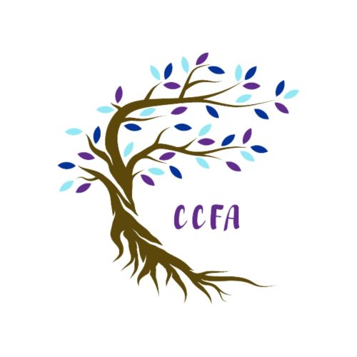 Center for Child and Family Advocacy Napoleon