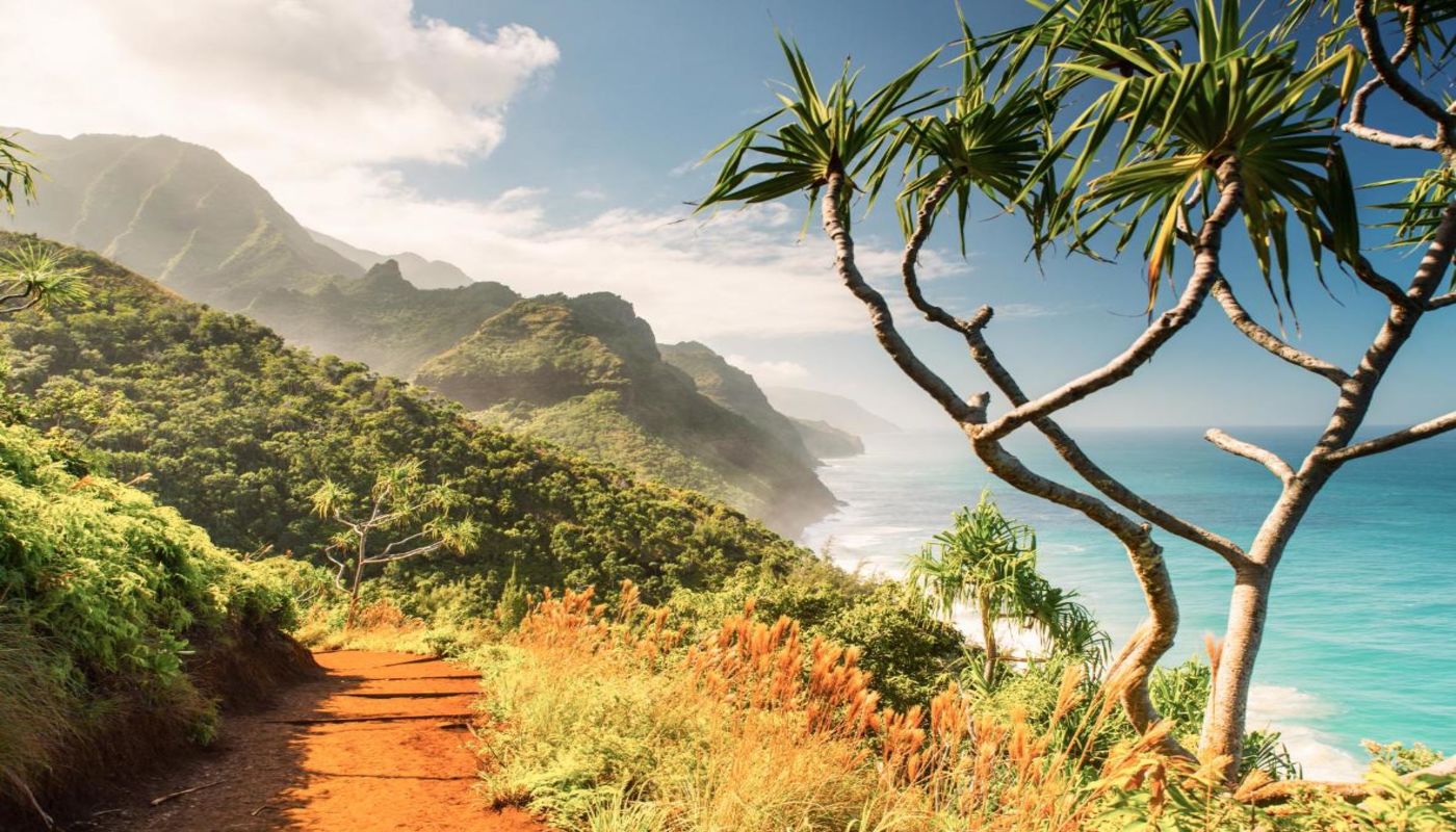 Hawaii Depression Clinic