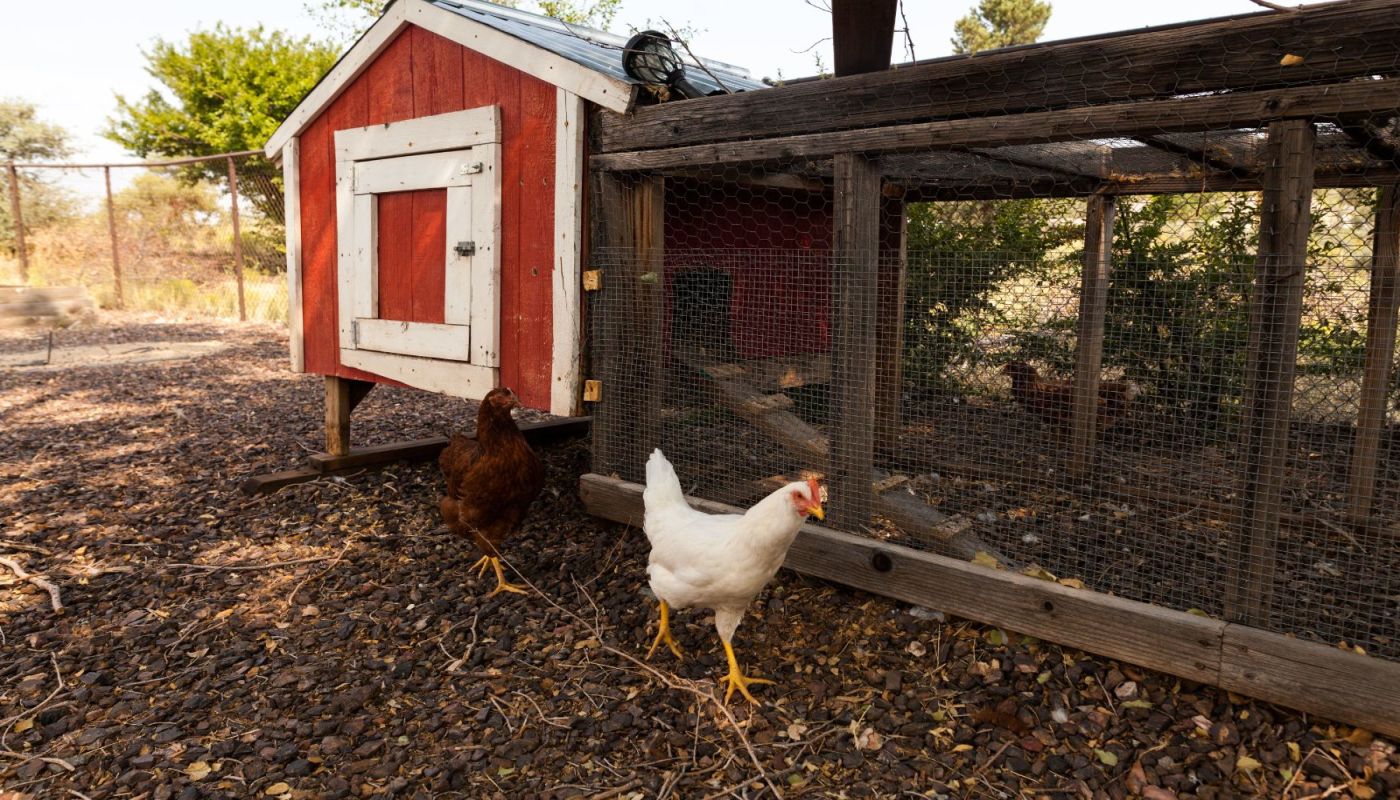 Holdfast Men's Recovery