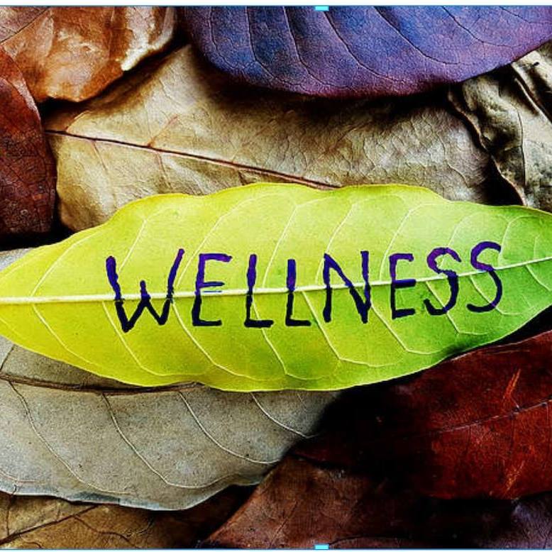 InnerSourced Solutions