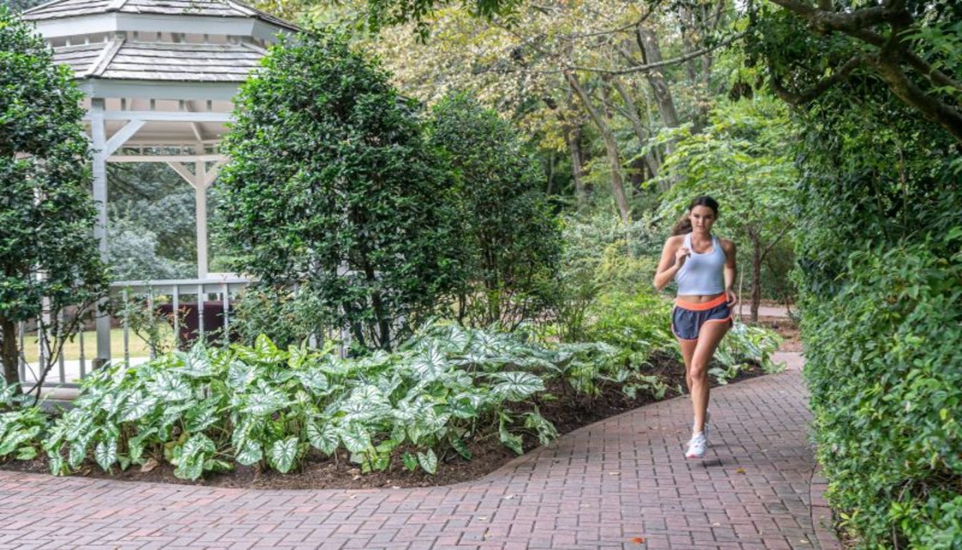 J. Flowers Health Institute