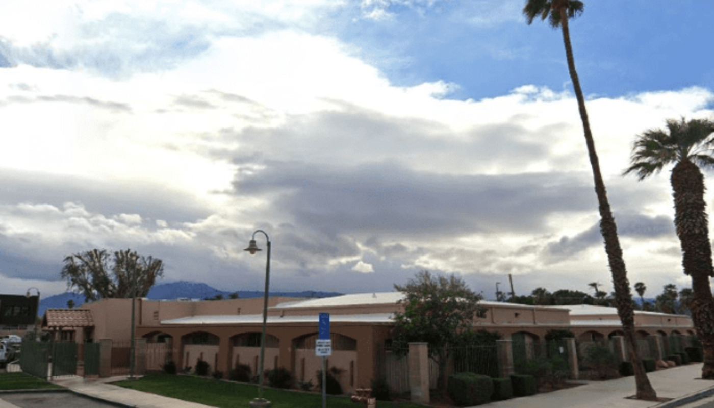 MFI Recovery Desert Sage