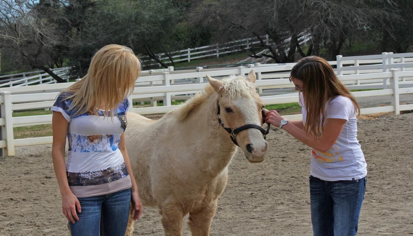 New Dawn Treatment Center