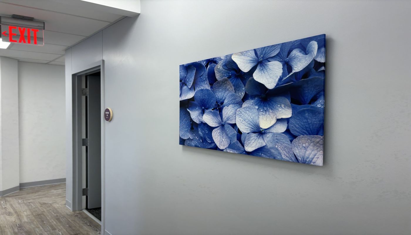 Northeast Health Services - Somerville