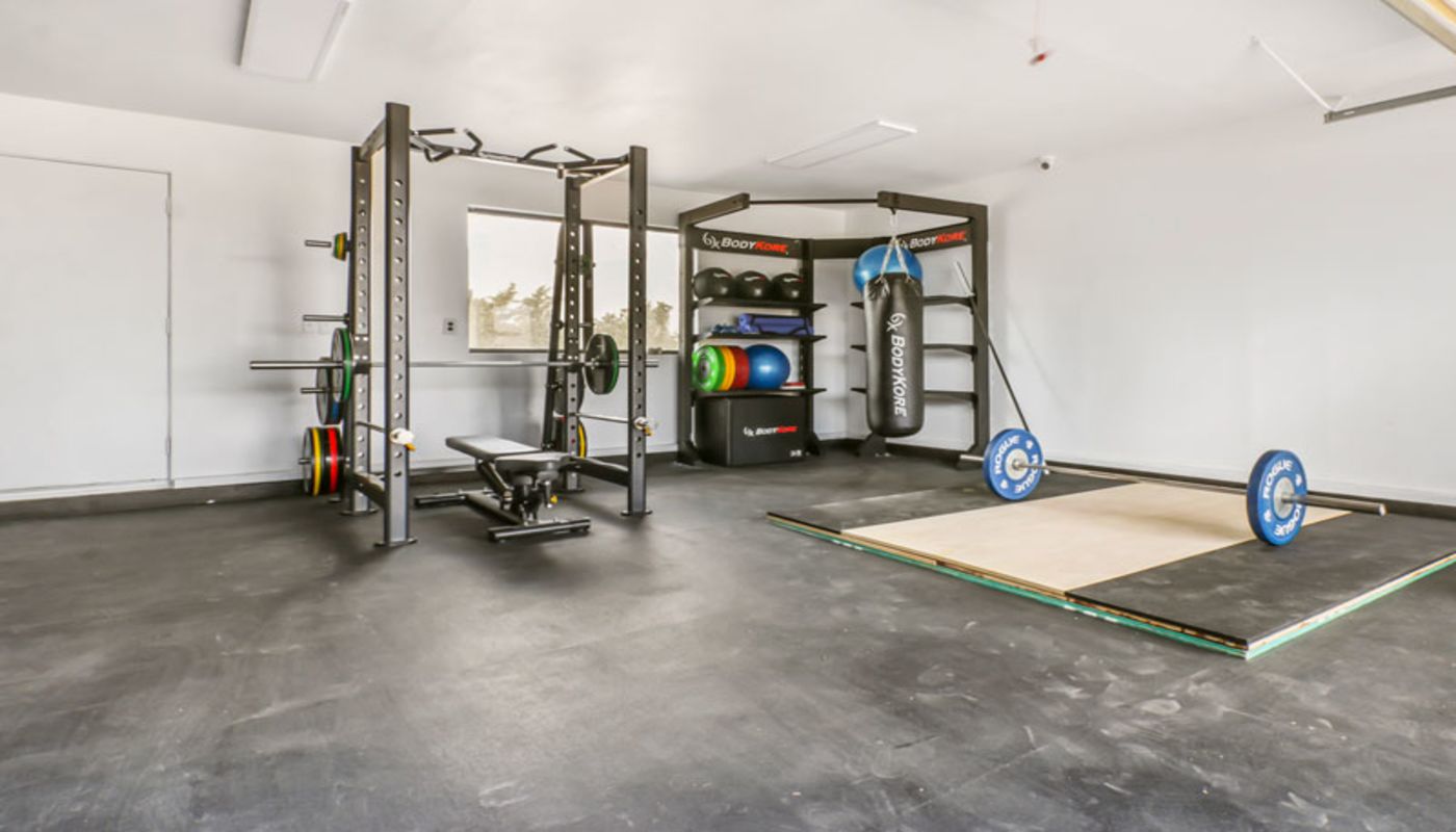 Recovery Revelations