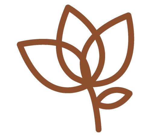 Root + Rise Perinatal Health