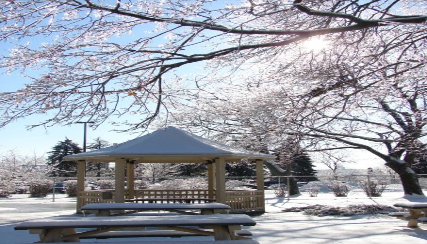 Saint Anne Institute