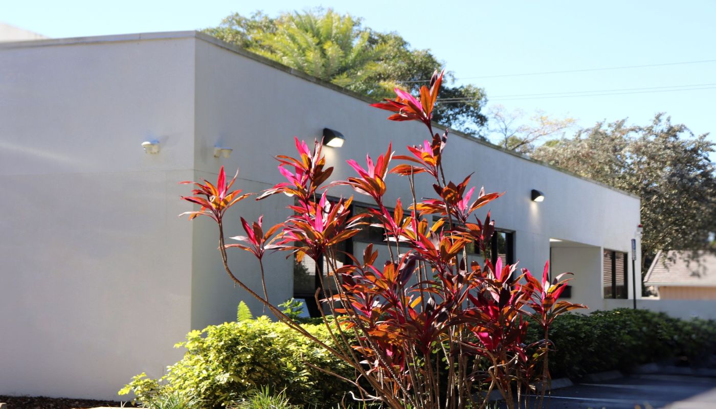 Still Detox & Residential